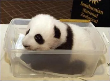 Il ne faut pas jeter le  avec l'eau du bain