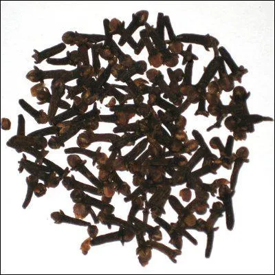 L'oisivet est la mre de tous les 