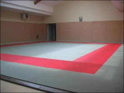 Quelles sont les dimensions du tatami ?