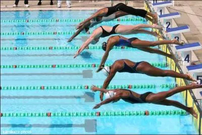 Quel plongeon est utilis en comptition ?