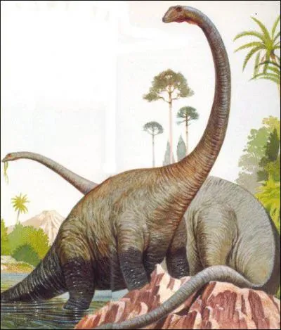 Comment s'appelle ce dinosaure ?