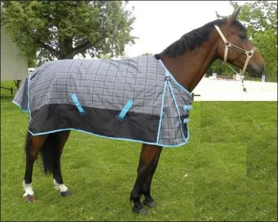 Qu'est-ce que c'est ?