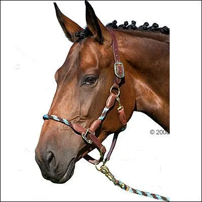 Qu'est-ce que c'est ?