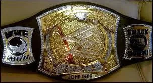 En bonus : qui etait le WWE Champion au dbut de 2010 ?