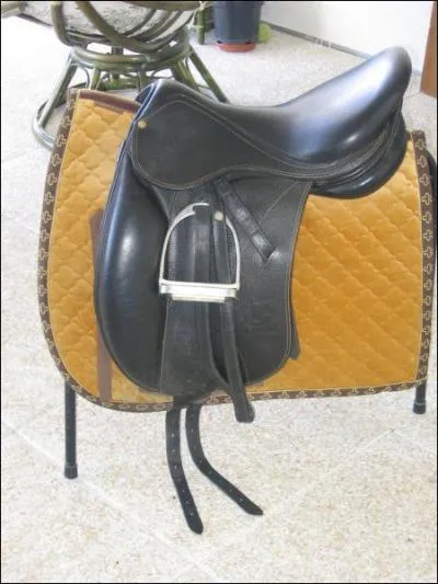 Ceci est une selle :