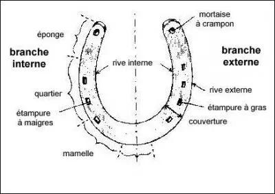 Quel est le nom manquant ?