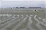 Par grande mare, la mer peut se retirer  plus de 10 km des ctes franaises.