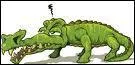 Quelle diffrence y-a-t-il entre un crocodile et un alligator ?