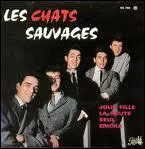 De quelle ville nous vient le Twist chant par Les Chats Sauvages ?