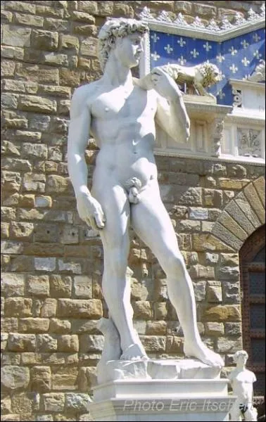 La ville de Florence, en Italie, s'enorgueillit de possder une statue de marbre, devenu le symbole de la ville, reprsentant le jeune David aprs son combat avec Goliath. Qui en est l'auteur ?