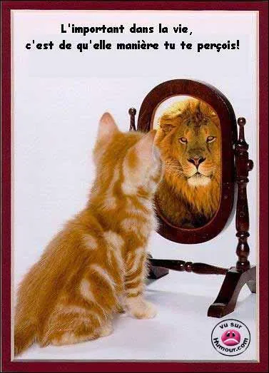 Chat narcissique, n'est-ce pas. Dans quel film de Walt Disney, peut-on entendre ' Miroir,  beau miroir' ?