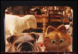 Que regardent Garfield et le chien ?