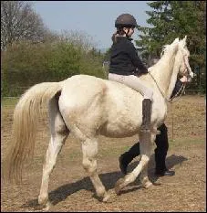 Monter  cru signifie que le poney n'a pas de :