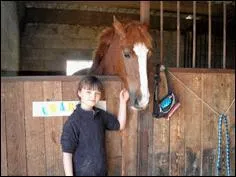 Une stalle se trouve :