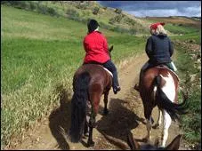 Quelle discipline n'est pas questre ?