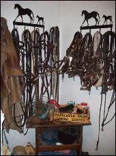 Le poney n'ouvre pas la bouche quand tu mets le bridon, tu dois ...