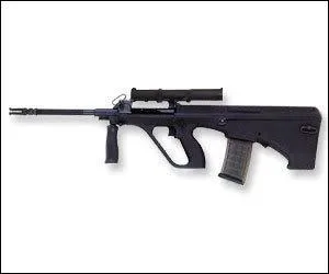 Quelle est cette arme ?