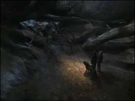 Harry et Ron doivent se rendre dans la fort interdite afin de retrouver :