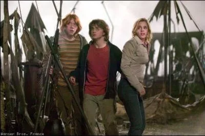 A quel film appartient cette image ?