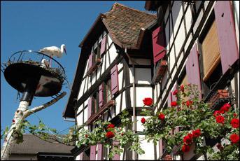 Strasbourg est la capitale de la rgion Alsace. Dans quel dpartement est-elle situe ?