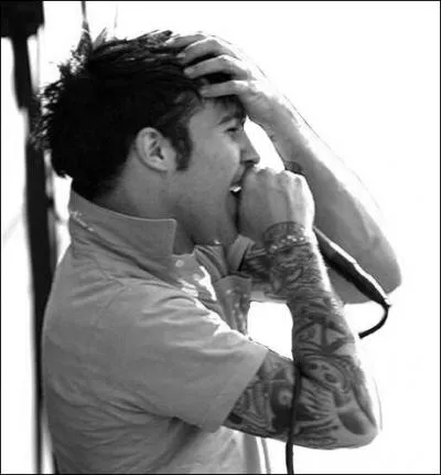 Pete Wentz est le chanteur de :