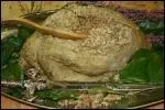 Quel est ce plat cossais, une panse de brebis farcie avec les gros viscres de l'animal, hachs avec du gruau d'avoine et de la graisse de mouton ?