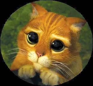 Comment fait-il pour rejoindre Shrek et l'âne ?