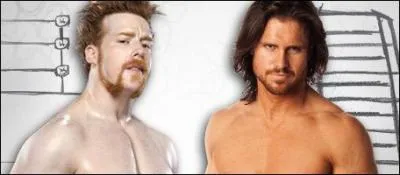 Sheamus vs John Morrison : qui est le vainqueur pour devenir challenger n1 au titre de la WWE ? (Ladder Match)