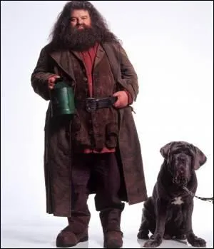 Comment s'appelle le chien de Hagrid ?