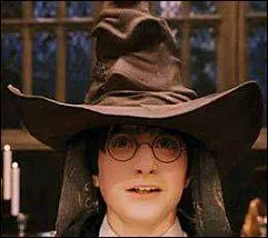 Qui dcide dans quelle maison sont envoys les sorciers ?