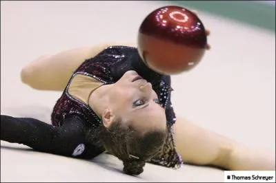 Quel est cet engin ?