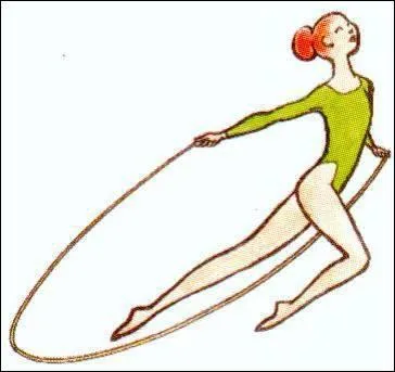 Quel est cet engin ?