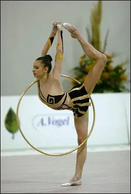 Quel est cet engin ?