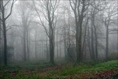 'Le mois de novembre est malsain, il fait ... ds la Toussaint'