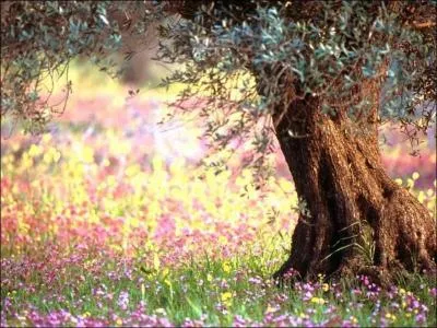 'Au mois de mai, les essaims font les charrettes de ... '