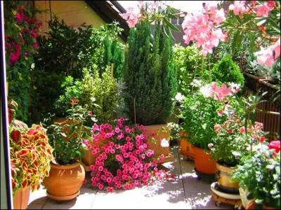 'Juin bien fleuri, ... '