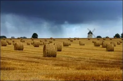 'Aot ... , celliers vineux'