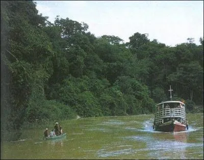 A quel climat correspond ce paysage ?