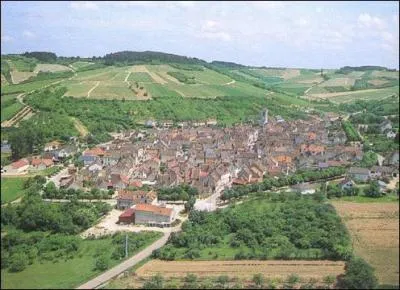 A quel climat correspond ce paysage ?