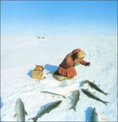 A quel climat correspond ce paysage ?