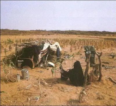 A quel climat correspond ce paysage ?