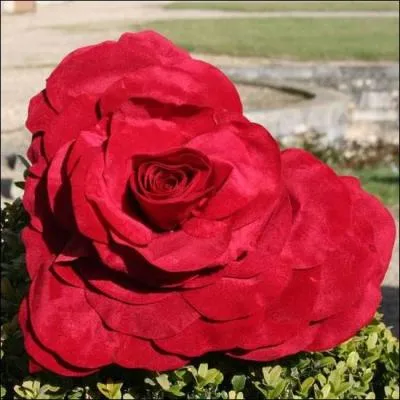 Comment se termine le film ?