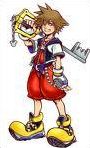 Quiz Kingdom hearts
