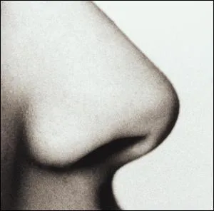 Quelle est cette partie du corps ?