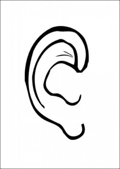 Quelle est cette partie du corps ?