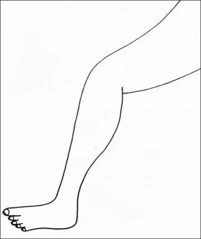 Quelle est cette partie du corps ?