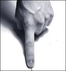 Quelle est cette partie du corps ?