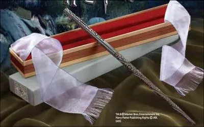 A qui appartient cette baguette ?