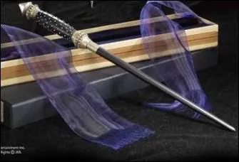 A qui appartient cette baguette ?