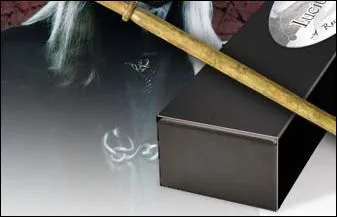 A qui appartient cette baguette ?